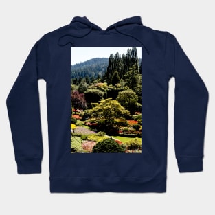 Stunning Gardens Hoodie